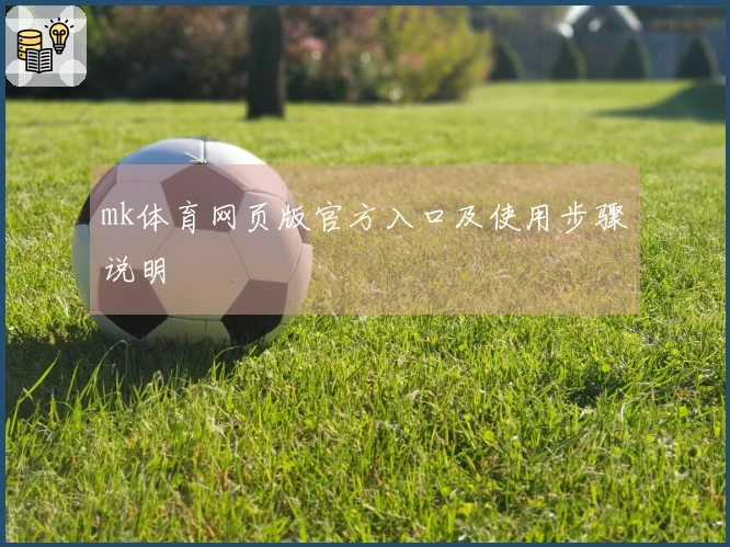 mk体育网页版官方入口及使用步骤说明