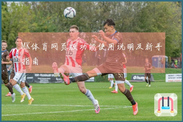 MK体育网页版功能使用说明及新手指南