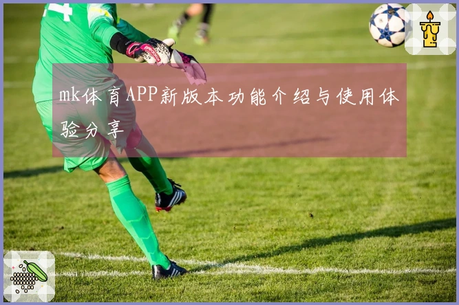 mk体育APP新版本功能介绍与使用体验分享