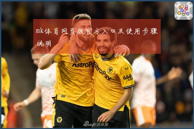 mk体育网页版官方入口及使用步骤说明